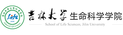 冰球突破豪华版官方网站