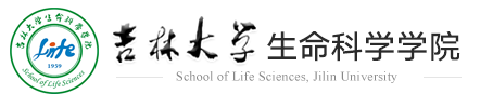冰球突破豪华版官方网站